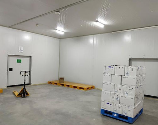 Painel de câmara fria / painel de armazenamento a frio personalizável com resistência à água e à compressão superiores