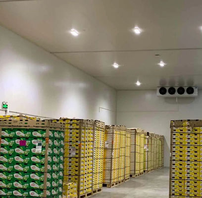 Painel de PU de sala fria personalizável Alta resistência à compressão 200kpa e comprimento personalizável para desempenho de resfriamento ideal