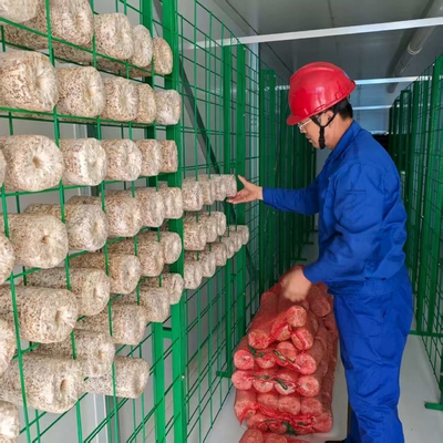Contêiner de cultivo de cogumelos de controlo ambiental preciso