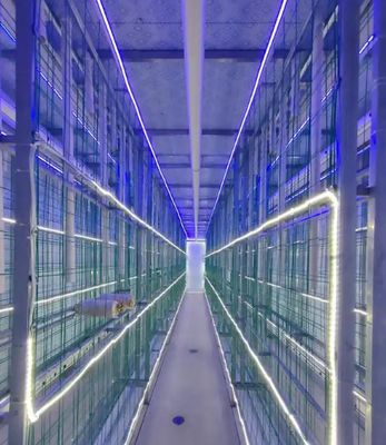 Fazenda de contêineres de cogumelos de baixa manutenção com monitoramento remoto e contêiner padrão de 20 pés ou 40 pés